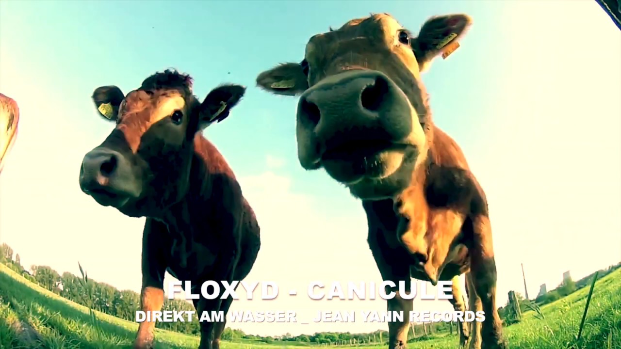 Watch Floxyd - Canicule (Jean Yann Records) on YouTube Watch Floxyd - Canicule (Jean Yann Records) on YouTube