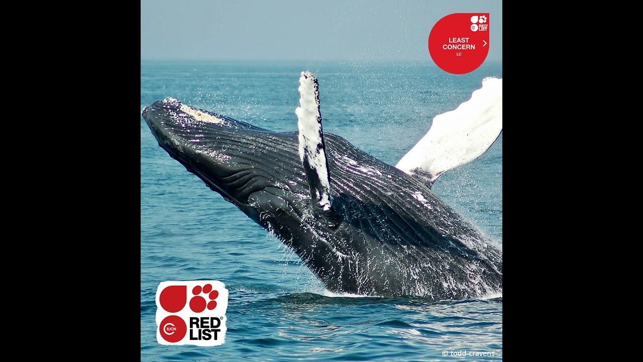 IUCN Red List of Threatened Species
