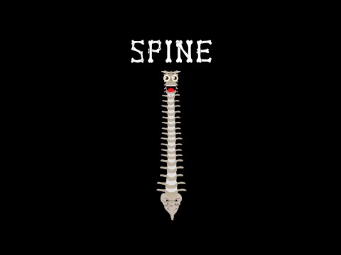 Human Body /Spine Song /Human Body Systems