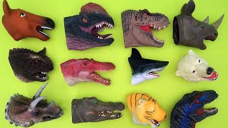 6 Dinosaur Head - Jurassic World Dinosaur Lego Transformer Dinosaurs Heads 공룡 머리 변신