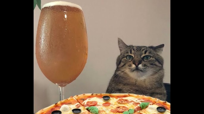 Jinsiy aloqa izlayotgan qizlar Jinsiy uygonish ni tomosha qiling