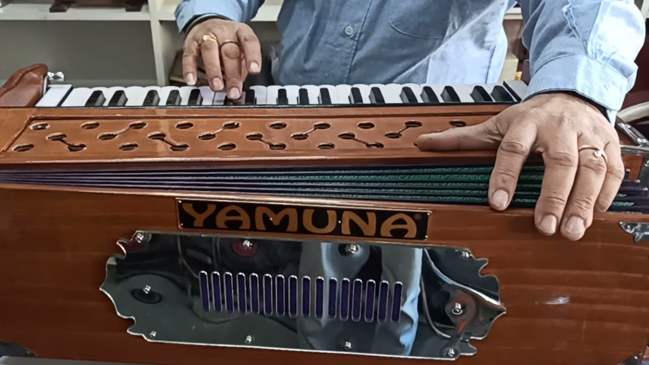 three read harmonium made yamuna musical Ludhiana Dugri 9888821189