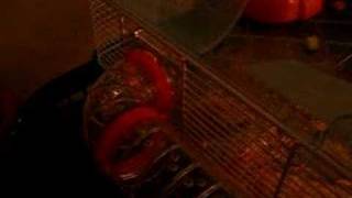 Op Je Rug Kan Het Ook