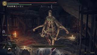 This might be the craziest thing this dude has seen in the lands between