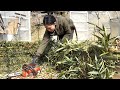 自然農｜踏み込み温床｜夏野菜の種まき