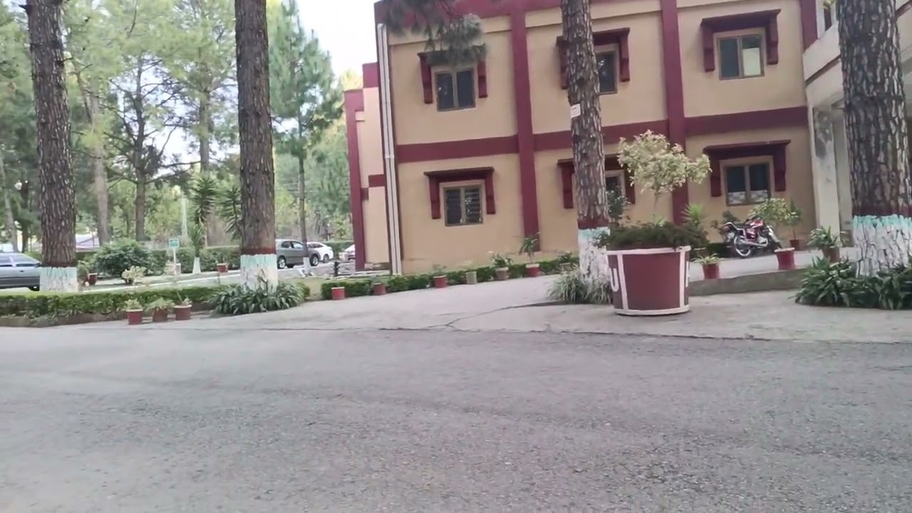 Nice Hazara University elegant weather 🌡️☁️