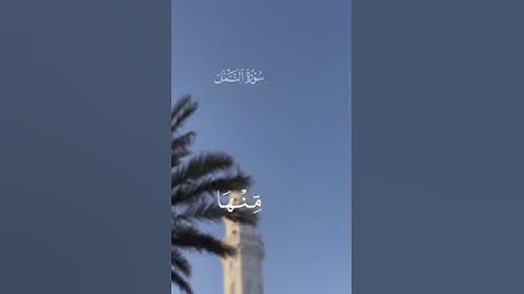 اكتب شي تؤجر عليه🤍#قران #سورة_النمل