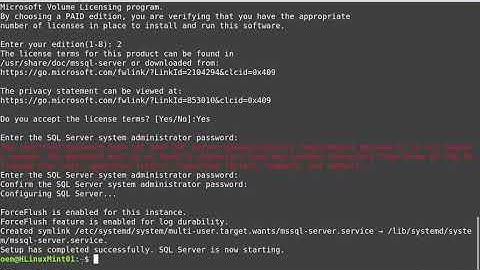 Loading Microsoft SQL Server 2019 and Visual Studio Code on Linux Mint 20