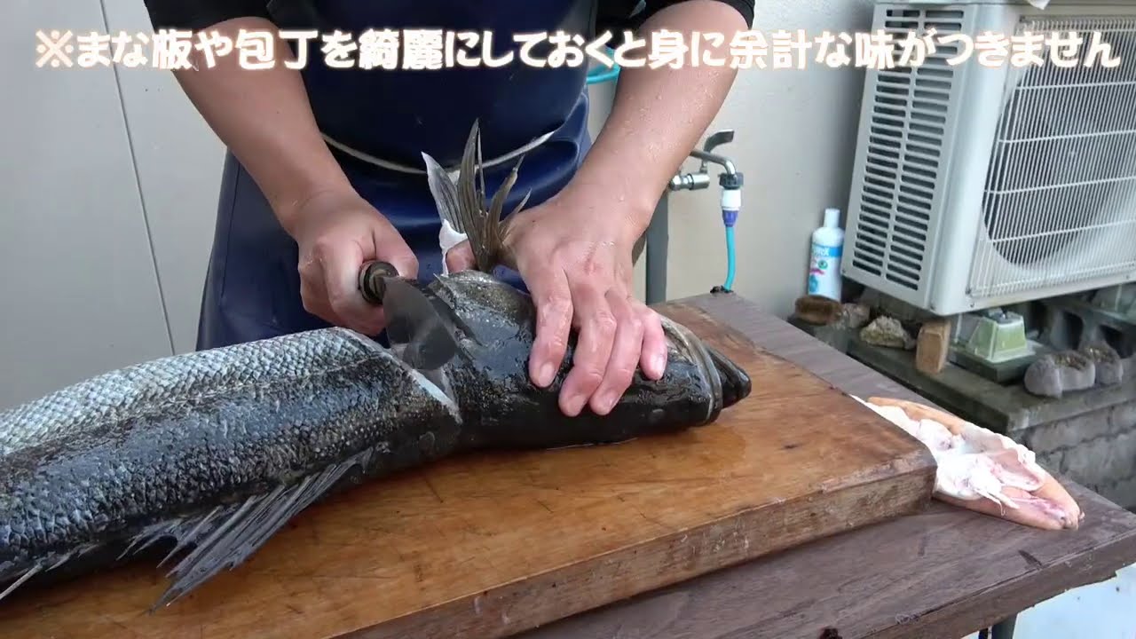 とくの料理人への道のsnsアカウントまとめ Talentee タレンティー