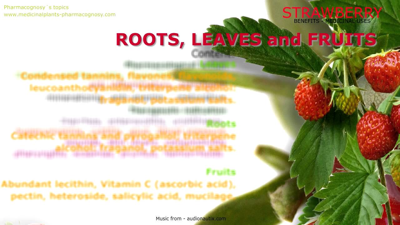 Strawberry. Benefits of Strawberry YouTube