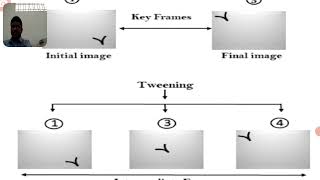 Animation Functions
