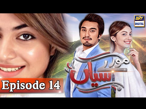 Moray Saiyaan — Episode 14