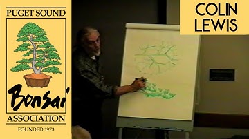 How to Develop & Refine Foliage Pads in Bonsai - Colin Lewis Demo Highlight - Nov 2000