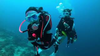 Download Lagu PADI Scuba Diving: The best moments of scuba diving #freediving #shorts #underwater MP3