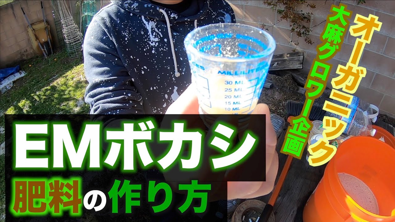 大麻グロワー企画 Emボカシ肥料の作り方 その１ Em Bokashi With Deep Sea Water Youtube