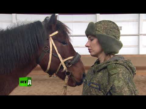 Спецназ — на коне: как российские офицеры осваивают верховую езду