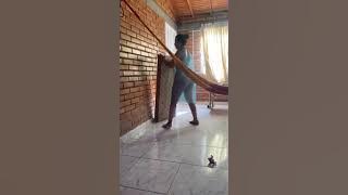 Kiara Videos