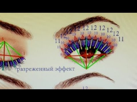 Схемы Наращивания Ресниц Фото Схемы Наращивания Ресниц Фото
