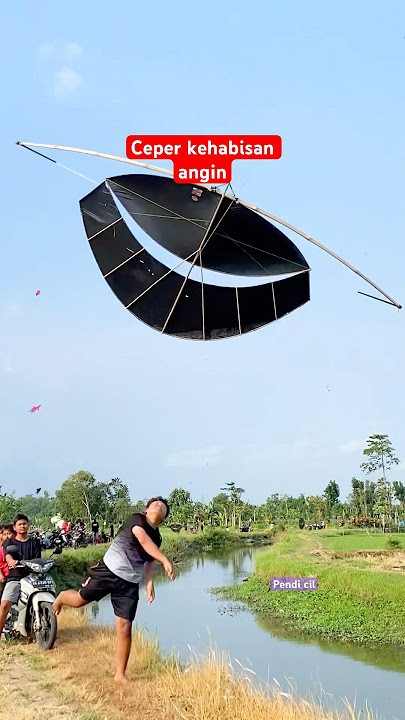 Waduh Mendarat di papan pinihan padi #kite