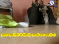 भगोड़ा बड़ा बाबू