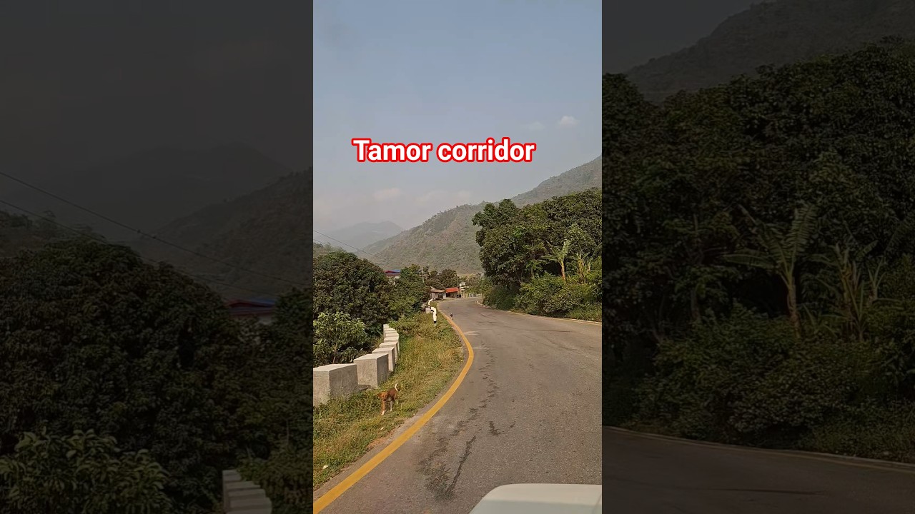Farkann Hola | John Chamling |Tamor corridor | tamor corridor road #roadtrip #travelvlog #roadvlogs