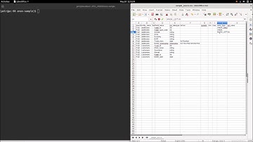 EVL Anonymization Testing