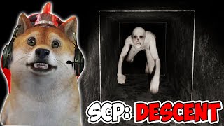 APAKAH KITA BERHASIL MELARIKAN DIRI DARI TEMPAT INI! - SCP Descent Indonesia END