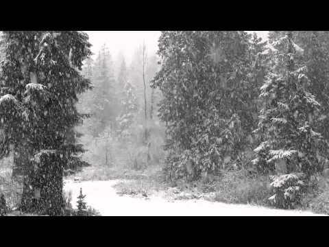 Fast Falling Snow 1080p Hd Without Music - 4 hours