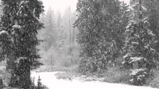 Fast Falling Snow 1080p Hd Without Music  4 hours