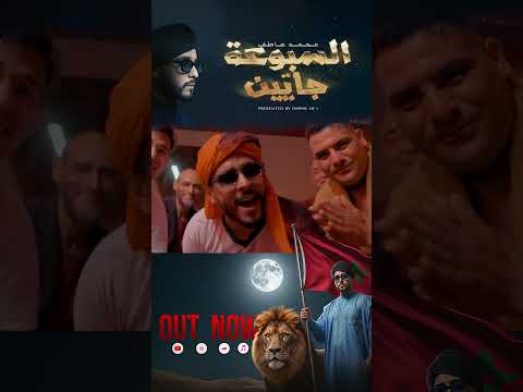     12 السبوعة جايين