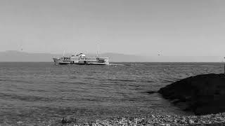 Asık Surat Canımı Yakar Sandığımdan, Avanak Aptiyi Gerçek Sandığımdan Herkes Babam Gibi Gülecek.