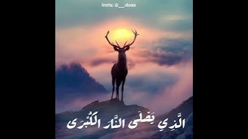 سبح اسم ربك الأعلى - سورة الأعلى - ادريس الهاشمي