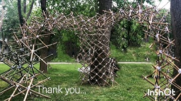 BilgiBasic_Pavilion_2019_Bowtruckle