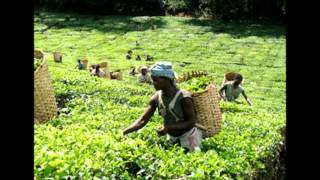 Gift Fumulani(malawi in pictures )