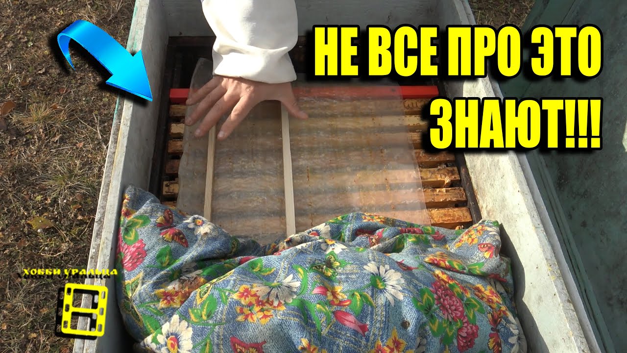 ОЧЕНЬ ВАЖНЫЕ ТОНКОСТИ ДЛЯ ХОРОШЕЙ ЗИМОВКИ ПЧЕЛ ПРИ ПОДГОТОВКЕ!!! ДЛЯ НАЧИНАЮЩИХ ПЧЕЛОВОДОВ 34-21