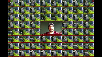 FreeSWITCH videoconference, 61 users, take 2