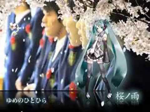 初音ミク　桜ノ雨　PV