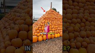 WORLDS BIGGEST🎃🎃PUMPKIN Tower