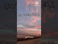 الشيخ عبد الفتاح الطاروطي نوادر روعه ممتاز جدا نادر