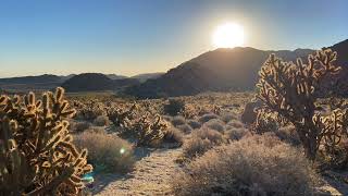 Hayden Spring Sunrise by Divine Desert Destination 14 views 4 months ago 27 seconds