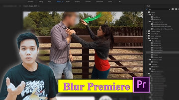 Hướng dẫn cách làm mờ vật thể trong Premiere
