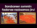Bararbaree Summii Hamaan Makamee Gabaaf Utuu Bahuu Qabame Bararbaree Summii Hamaan Makamee Gabaaf Utuu Bahuu Qabame