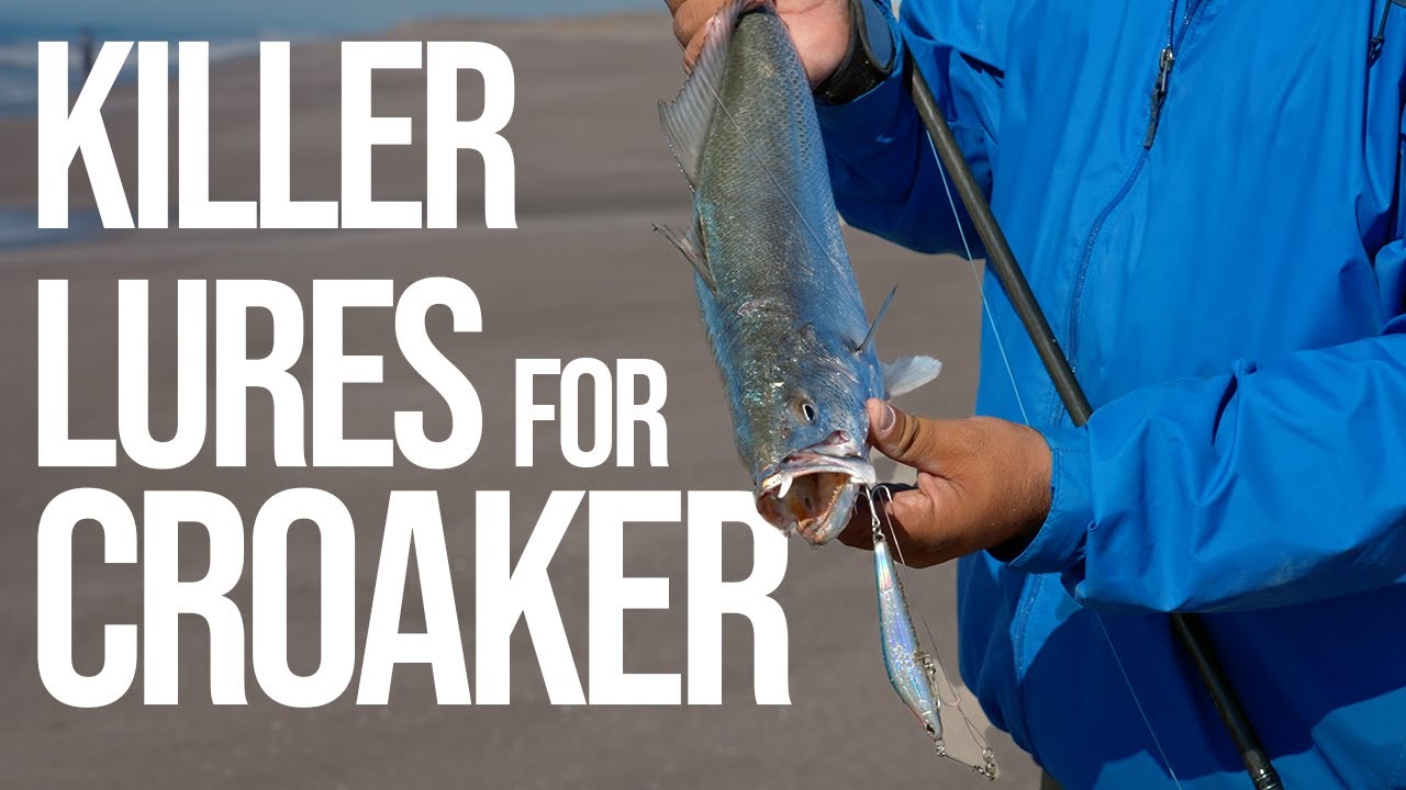 Camping & Surf Fishing Adventure at Los Caracoles, Baja California Sur - Croaker Fish Galore!