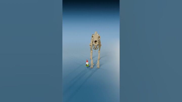 Frog Skeleton vs Whale Skeleton