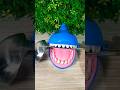 Beware of shark hungryshark sharktoys sharksounds asmranimals funshark babyshark