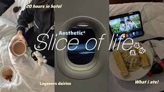 POV: You’re my camera for a day📷|Staying in a 5-star hotel for 20 hours😴|What I ate in a day🍜 screenshot 4