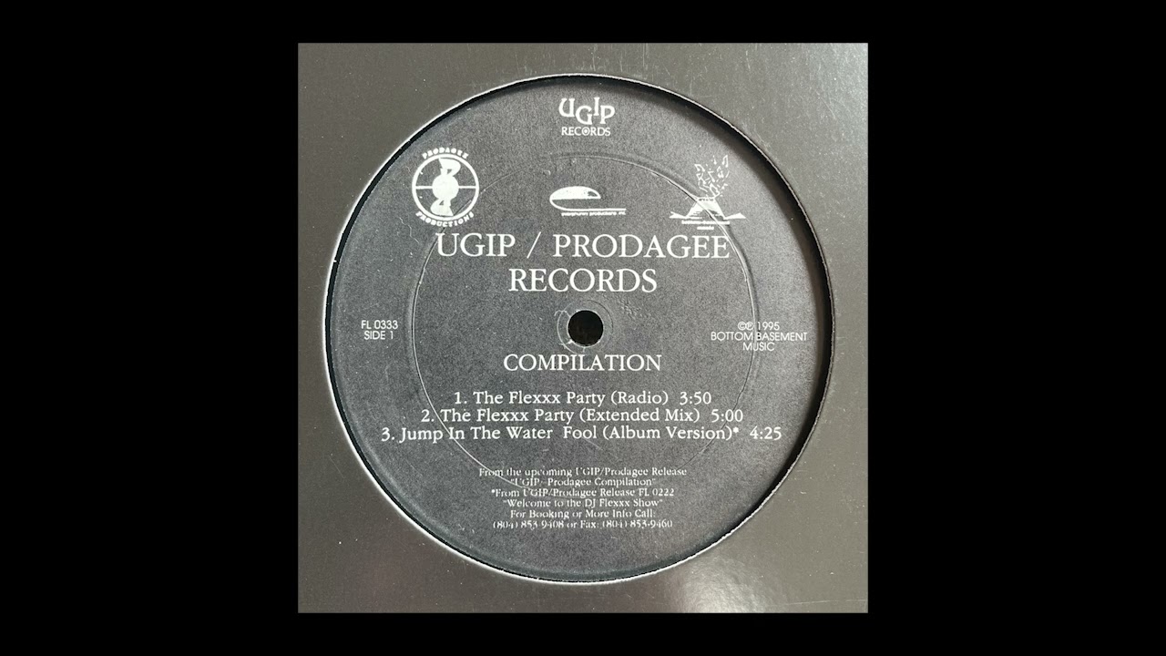 DJ Flexxx – Jump In The Water Fool - YouTube