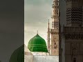 Wi8 For Beautiful Lines Madina View MasAllah Ya Nabi Salam Shorts Makkah Status Wi8 For Beautiful Lines Madina View MasAllah Ya Nabi Salam Shorts Makkah Status