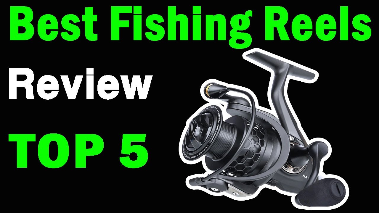 Top 5 Best Fishing Reels On 2024 - YouTube