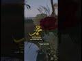 تصميم حالات واتس يوم الجمعة صلى عليك الله يا خير الورى